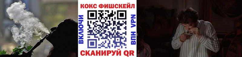 дарнет шоп  Рудня  Cocaine FishScale 