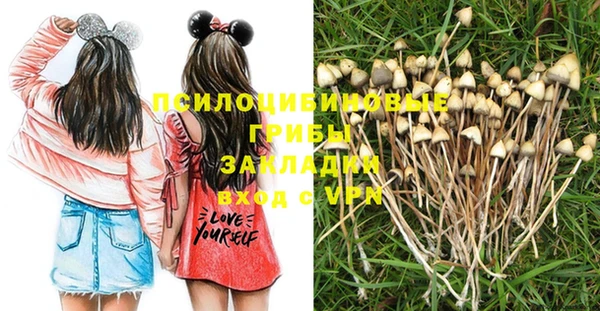 кокс Баксан