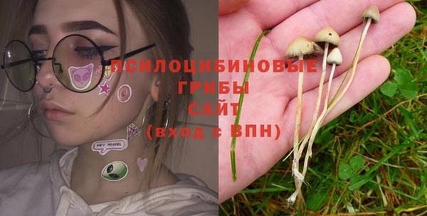 кристаллы Белокуриха