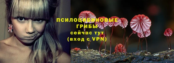 бошки Балахна