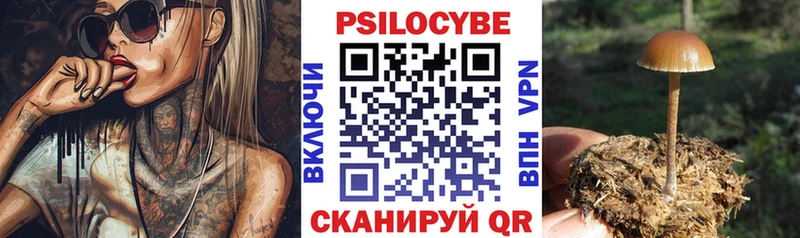 нарко площадка телеграм  Рудня  Галлюциногенные грибы Cubensis  ссылка на мегу  